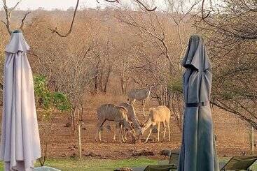 هتل Call Of The Wild Lodge