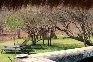 هتل Call Of The Wild Lodge