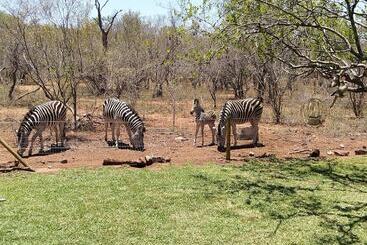 هتل Call Of The Wild Lodge