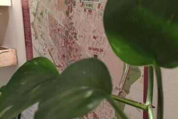 Low Cost Ferrara