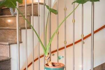تختخواب و صبحانه Villa Nena