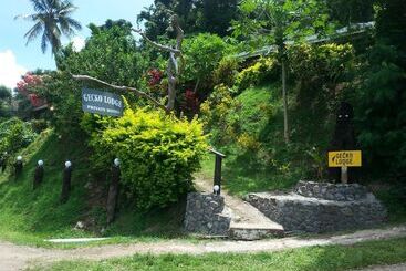 هتل Gecko Lodge Fiji