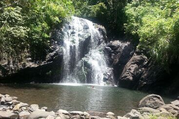 هتل Gecko Lodge Fiji