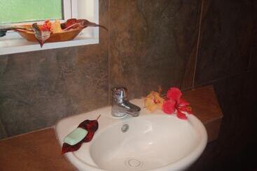 هتل Gecko Lodge Fiji