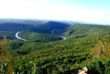 هتل Shimba Green Lodge
