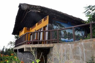 هتل Shimba Green Lodge