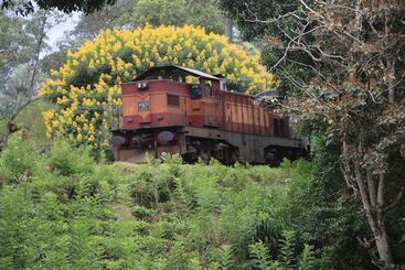 هتل Train View Chalet