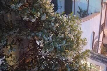 B&b Moscani