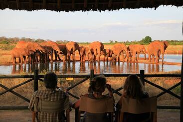 هتل Voi Wildlife Lodge