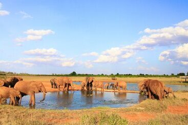 هتل Voi Wildlife Lodge