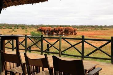 هتل Voi Wildlife Lodge