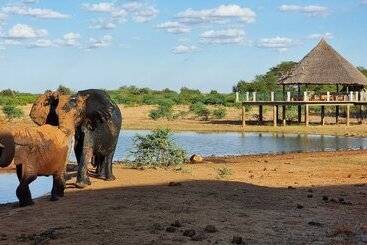 هتل Voi Wildlife Lodge