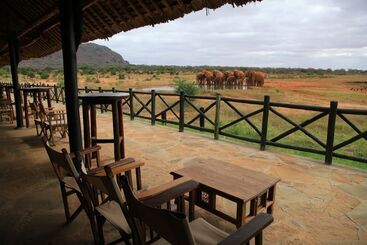 هتل Voi Wildlife Lodge