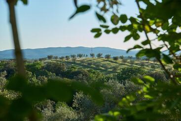 هتل روستایی Agriturismo Tesorino