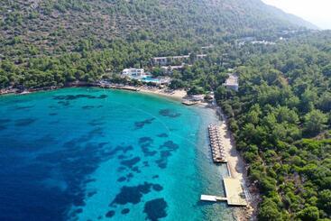 هتل Hapimag Resort Sea Garden