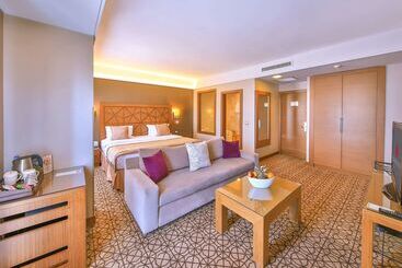 酒店 Ramada By Wyndham İstanbul Taksim