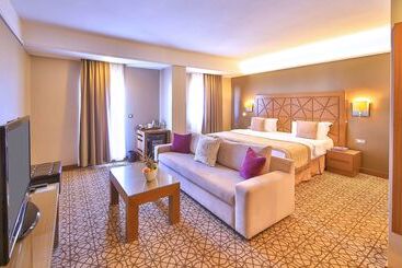 酒店 Ramada By Wyndham İstanbul Taksim