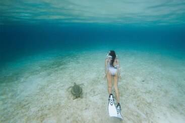 The Westin Beach Resort & Spa At Frenchman S Reef