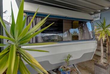 هاستل Tombstone Motel, Lodge & Backpackers