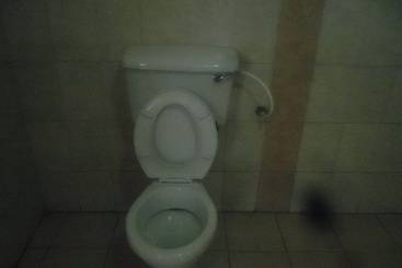 تختخواب و صبحانه Comfort