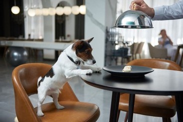 Boutique Hotel 39