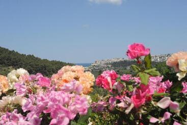 Agriturismo Torre Dei Preti