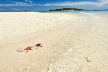 צימר Eco Beach Tent By Billiton