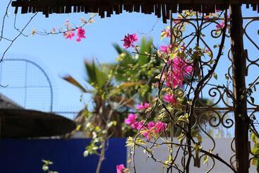 Riad 46