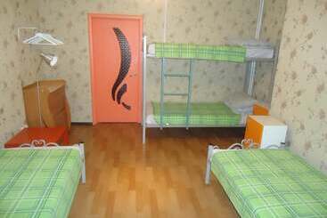 Hostel Dom