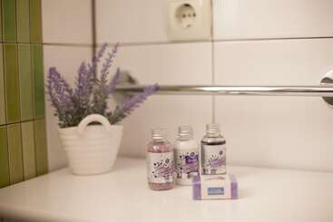 Apartment & Room Ursa