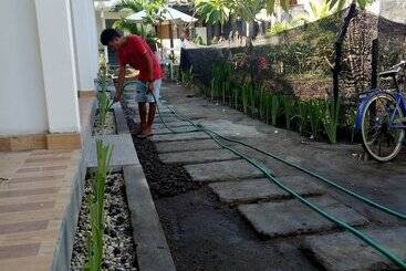 تختخواب و صبحانه Palm Trees Villas