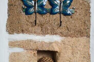 پانسیون Dream Art Studios