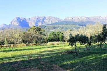 Village Lodge Paarl