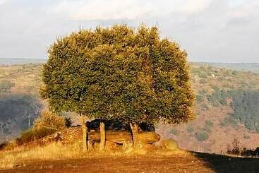 Douro Camping