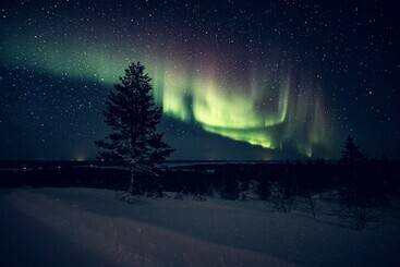 هتل Aurora Village Ivalo