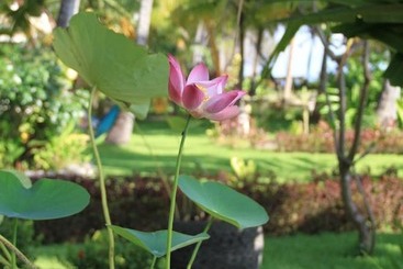 هتل Felicianas Resort