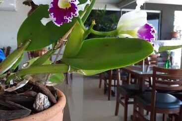 Wr Confort Hotel Campo Grande