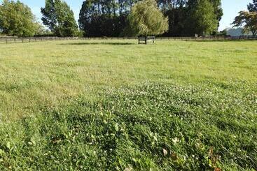 Grasslands Bed & Breakfast