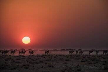 هتل Safarihoek Lodge