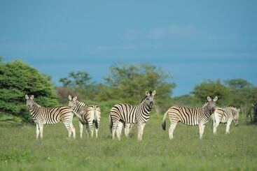 هتل Safarihoek Lodge