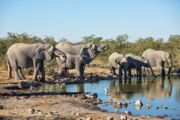 هتل Safarihoek Lodge
