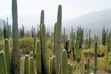 هتل Cr Tehuacan