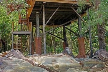 هتل Tree House Bungalows