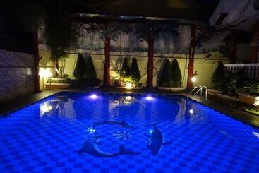 تختخواب و صبحانه The Executive Villa Inn & Suites