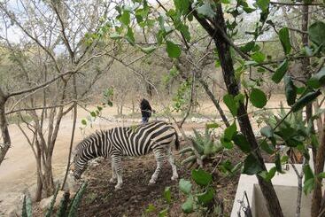 בית מלון כפרי Foxy Crocodile Bush Lodge & Kruger Safari S No Loadshedding