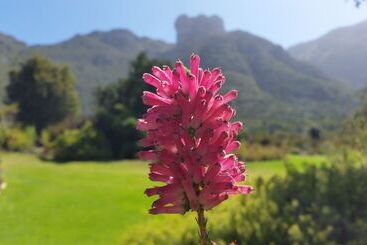 Hout Bay Beach Cottage