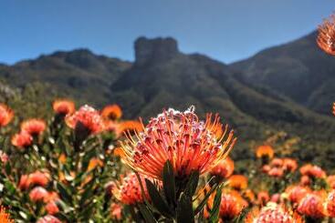 Hout Bay Beach Cottage