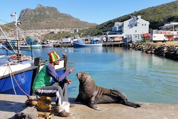Hout Bay Beach Cottage