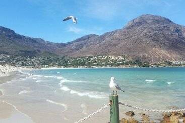 Hout Bay Beach Cottage