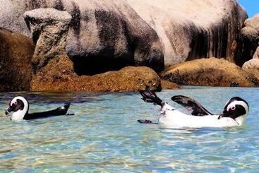 Hout Bay Beach Cottage